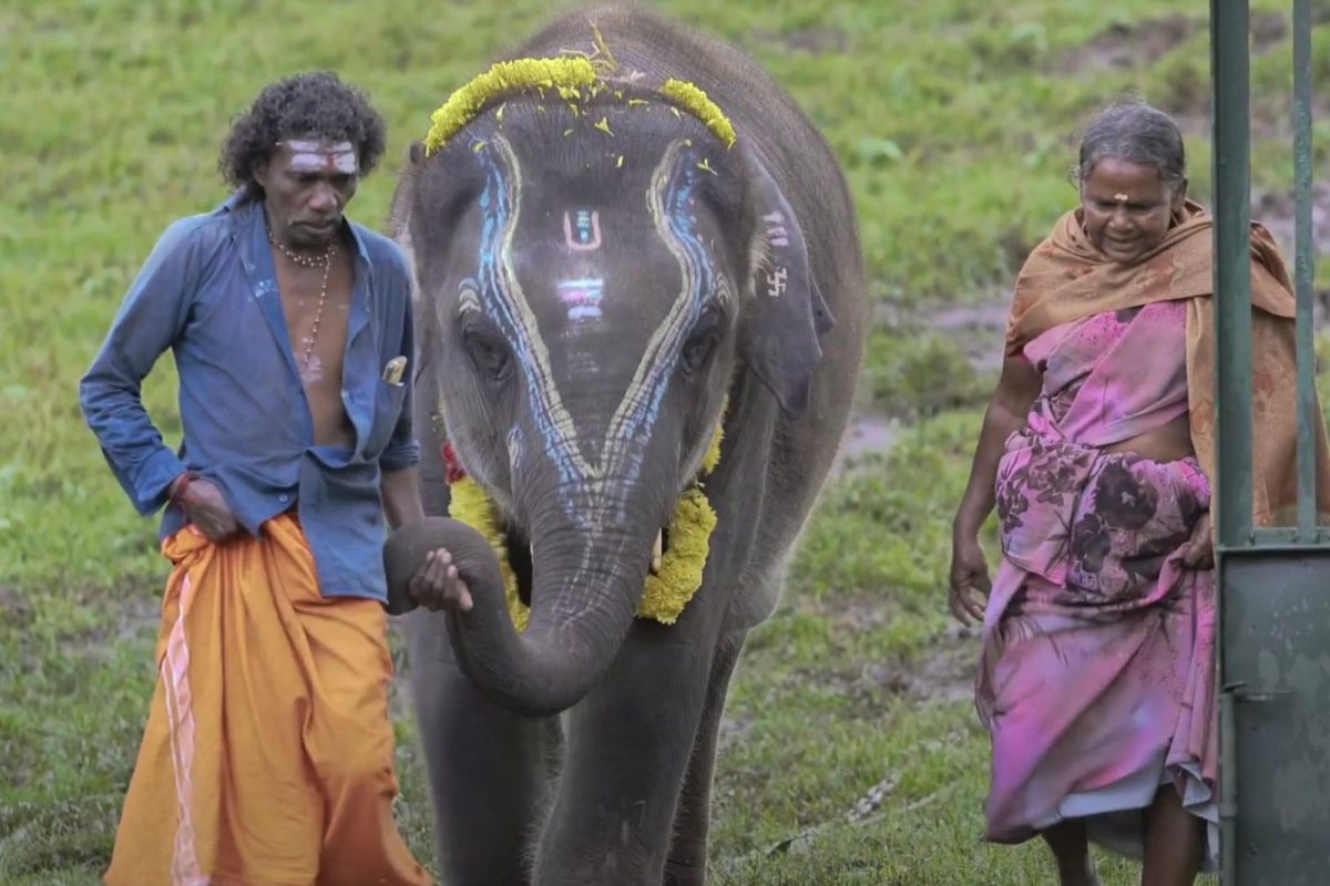 இன்னைக்கு தான் எல்லாருக்கும் தெரிய வந்திருக்கோம் - பொம்மன் நெகிழ்ச்சி!