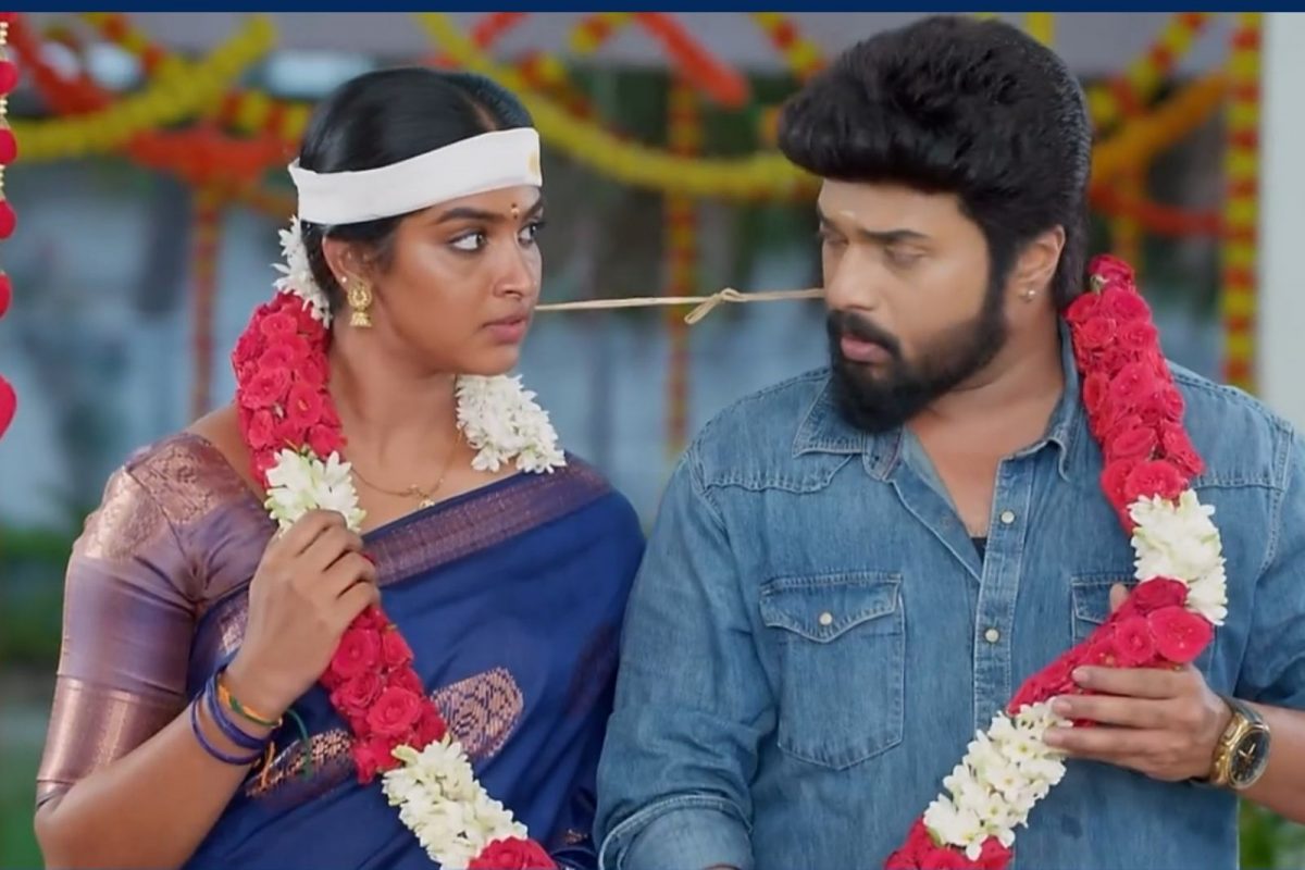 கார்த்திகை தீபம் சீரியல்