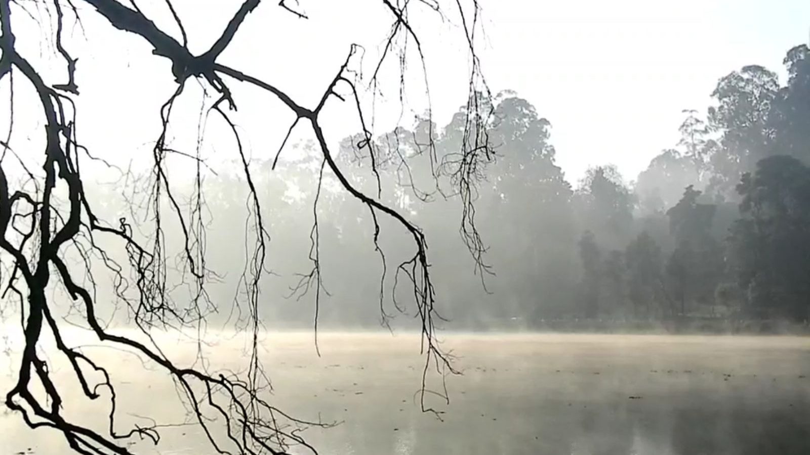ம‌ழைக்குப்பின் ர‌ம்மிய‌மாக‌ காட்சிய‌ளித்த‌ கொடைக்கான‌ல்.. ரசித்து மகிழ்ந்த சுற்றுலா பயணிகள்!