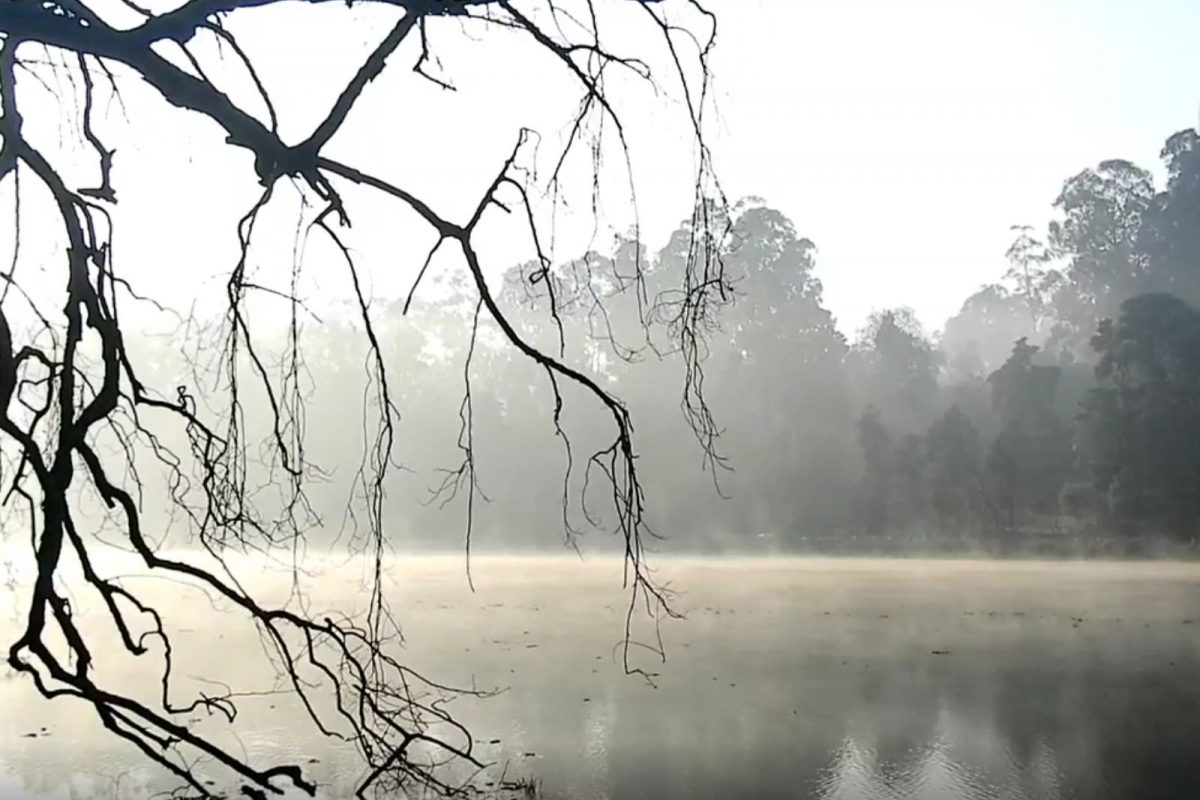 ரம்மியமாக காட்சியளித்த கொடைக்கானல்