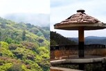 கொடைக்கானல் போக ப்ளானா? வனத்துறை அறிவிப்ப கேளுங்க!