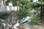 சிங்காநல்லூர் கால்வாயை தூர்வார கோரிக்கை