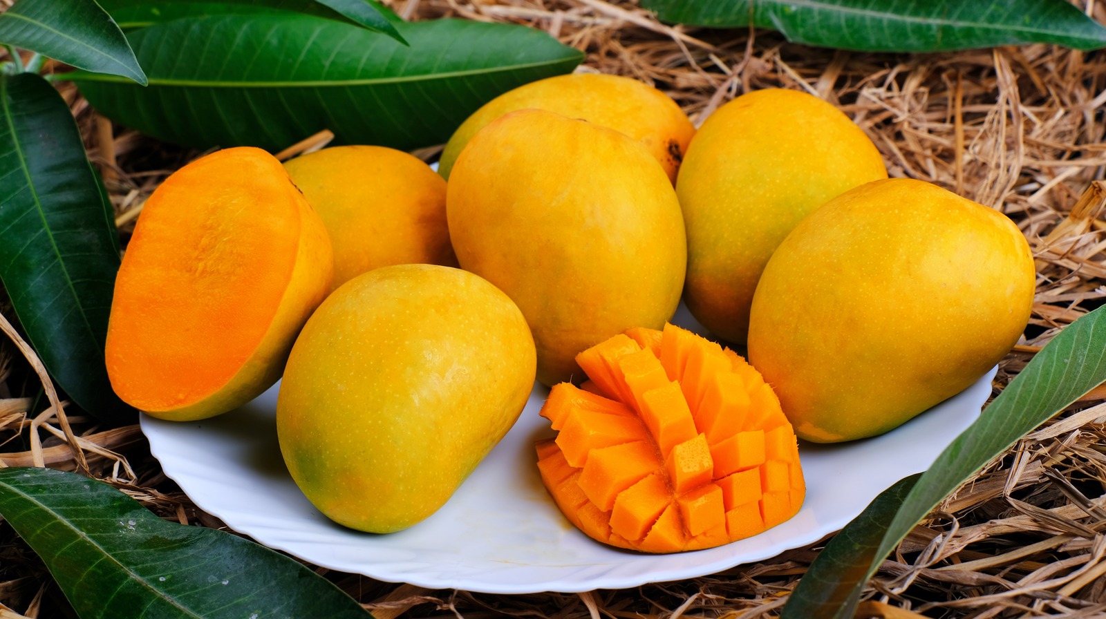     Siapa yang tidak suka mangga manis dan harum?  Umumnya, mangga tersedia melimpah hanya pada musim panas.  1.500 varietas mangga ditanam di India.  Setiap jenis mangga memiliki rasa yang berbeda.  Beberapa mangga lebih manis sementara yang lain lebih asam.