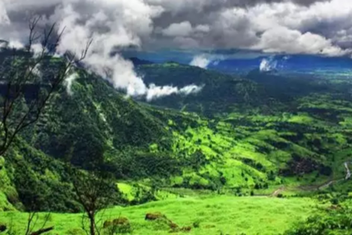  இந்த மாஞ்சோலை பகுதிக்கு நாள்தோறும் குறைந்த எண்ணிக்கையிலான வாகனங்கள் மட்டுமே அனுமதிக்கப்படுகின்றன என்பதை நினைவில் வைத்துக் கொள்ளுங்கள். மேற்கண்ட வழிமுறைகளை பின்பற்றி, இந்த மாஞ்சோலை பகுதியை நீங்கள் பாதுகாப்பாக சுற்றிப்பார்த்து மகிழலாம்.