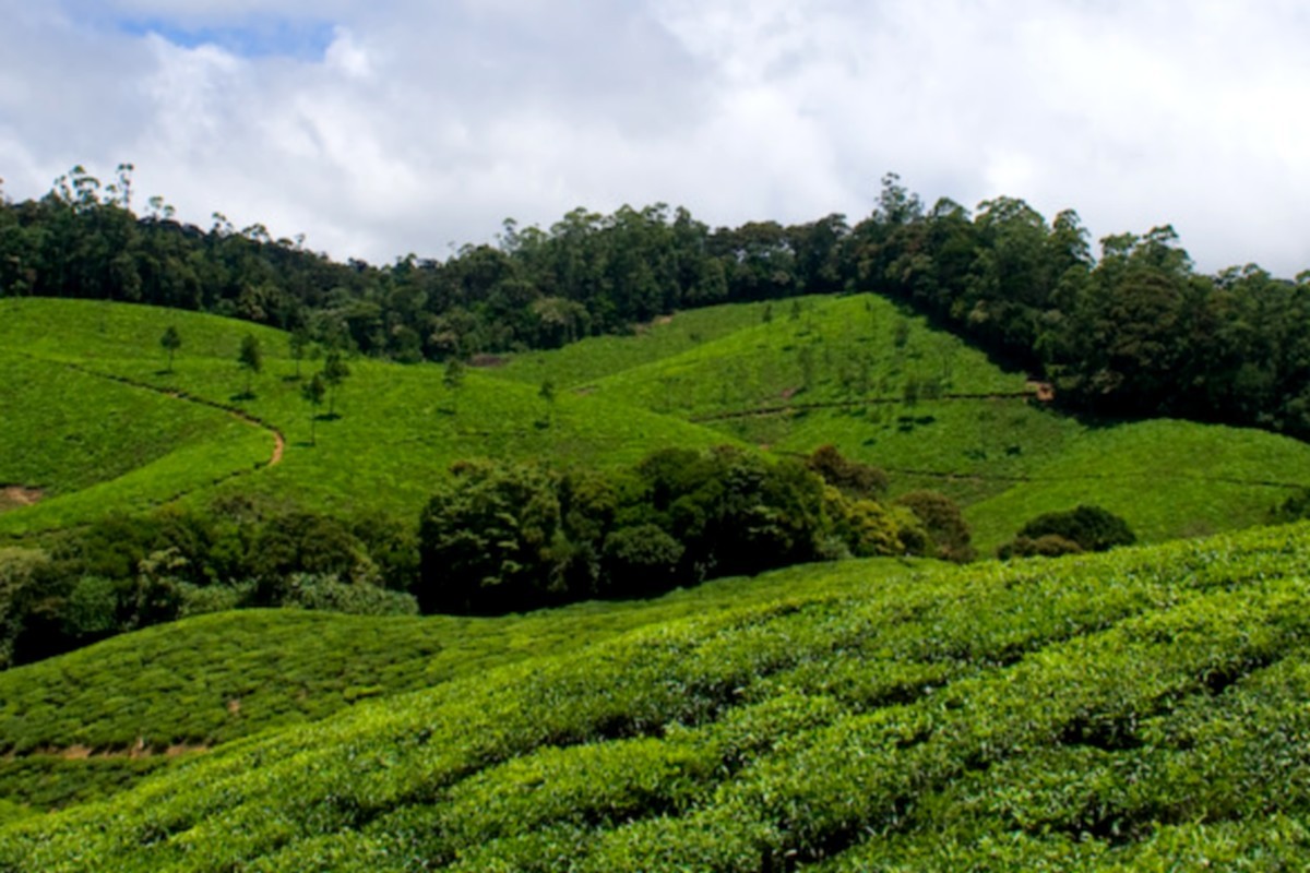 அவ்வாறு செல்ல விரும்புபவர்கள் https://kmtr.co.in/ என்ற இணைய முகவரியை க்ளிக் செய்து அதில், பெயர், வண்டி எண், எத்தனை நாட்கள் தங்கவுள்ளீர்கள் என்பது உள்ளிட்ட தேவையான விவரங்களை கொடுத்து பதிவு செய்ய வேண்டும். அவ்வாறு பதிவு செய்பவர்கள் நேரில் சென்று விண்ணப்பத்தை பூர்த்தி செய்ய வேண்டியதில்லை.