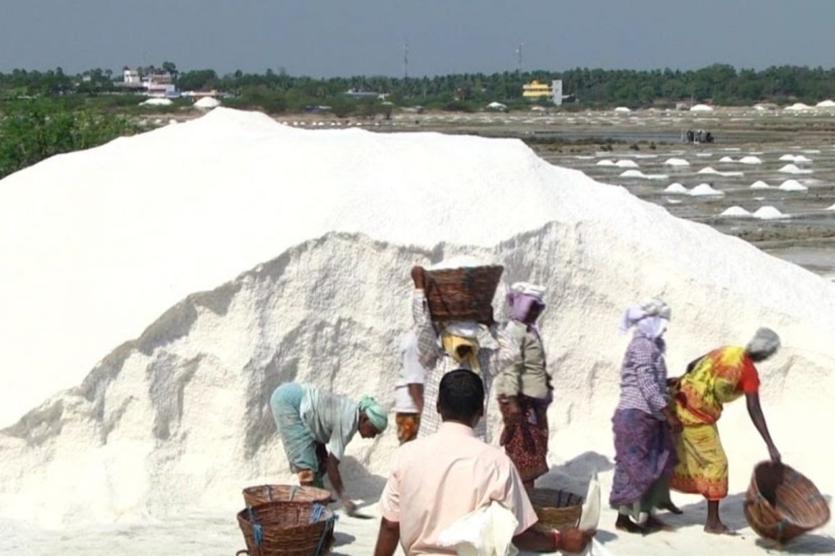 மரக்காணம்