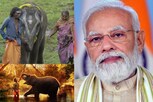 ஏப். 9 முதுமலை வருகிறார் பிரதமர் மோடி!