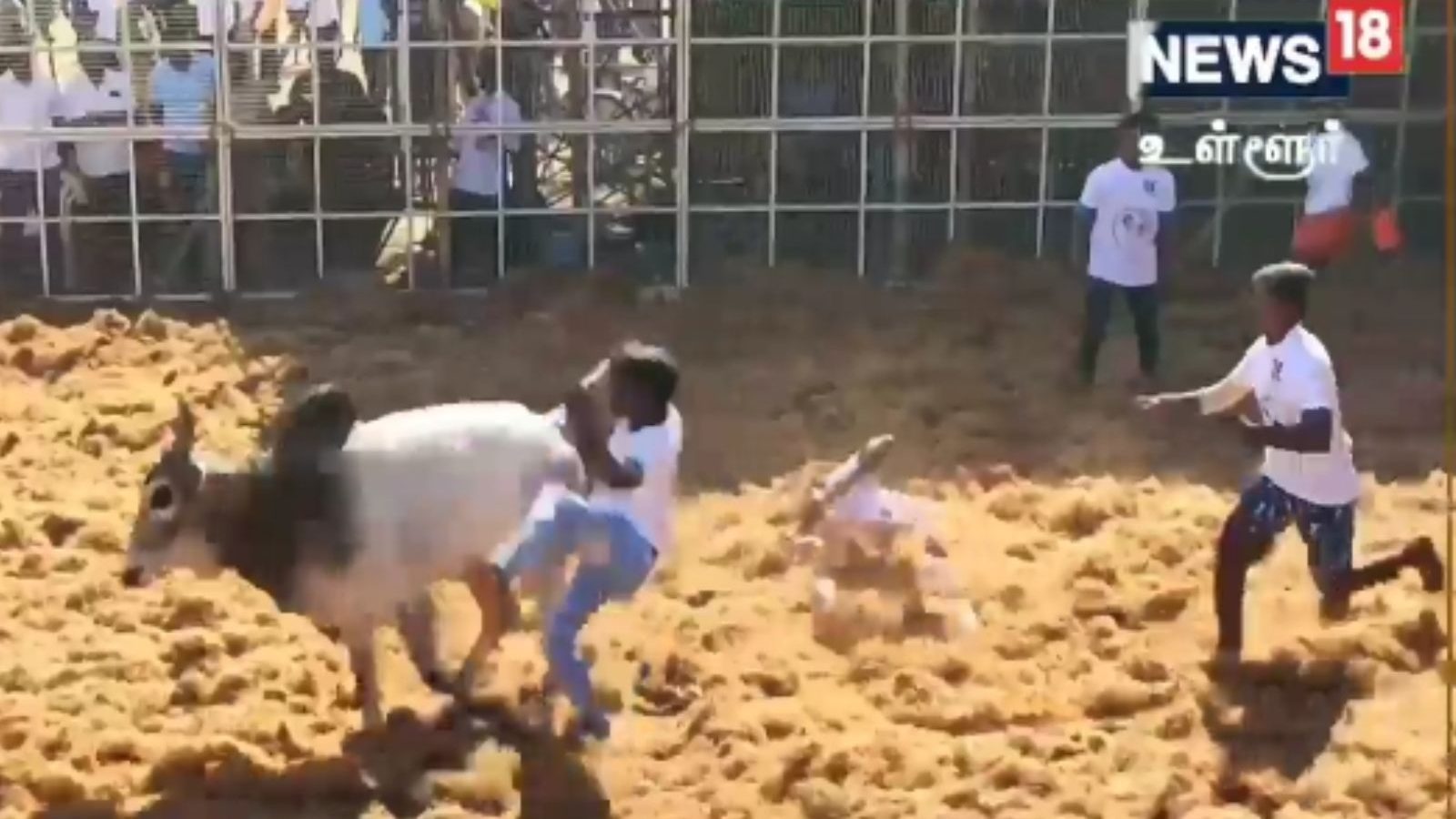 உதயநிதி ஸ்டாலின் தொடங்கி வைத்த நாமக்கல் சேந்தமங்கலம் ஜல்லிக்கட்டு..