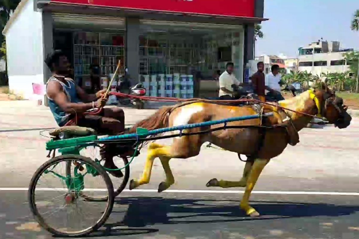 நாமக்கல்லில்