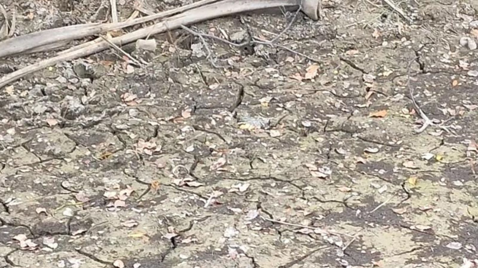 நிலத்தடி நீர்மட்டத்தை அதிகரிக்க வேண்டிய நிலையில் நெல்லை! - பொதுமக்கள் செய்ய வேண்டியது என்ன?