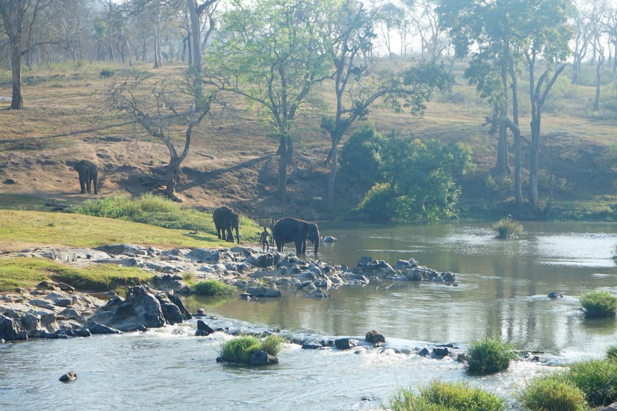 சுற்றுலா