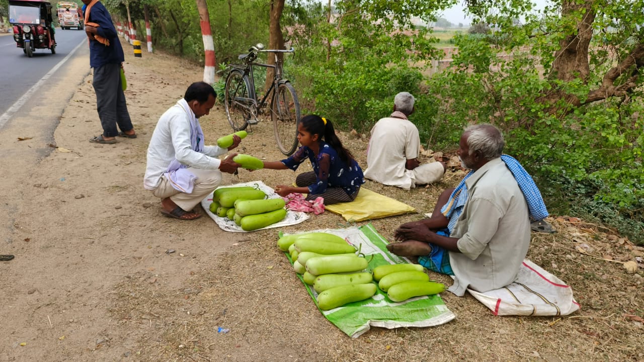  நிறைய செலவு செய்து, அதிகப்படியான உழைப்பையும் கொடுத்தாலும் நெல் மற்றும் கோதுமை விவசாயத்தில் போதிய அளவு மகசூல் கிடைப்பதில்லை என்பதால் குறைந்த செலவில், குறைந்த உழைப்பில் நல்ல லாபம் கிடைக்கும் காய்கறி விவசாயத்திற்கு மாறி வருவதாக கூறுகிறார்கள் விவசாயிகள். முதலில் சிறிய பரப்பளவில் காய்கறி விவசாயம் செய்து வந்தவர்கள் அதில் நல்ல லாபம் கிடைப்பதால் இப்போது பெரிய அளவில் காய்கறி விவசாயத்தில் ஈடுபட்டுள்ளனர்.