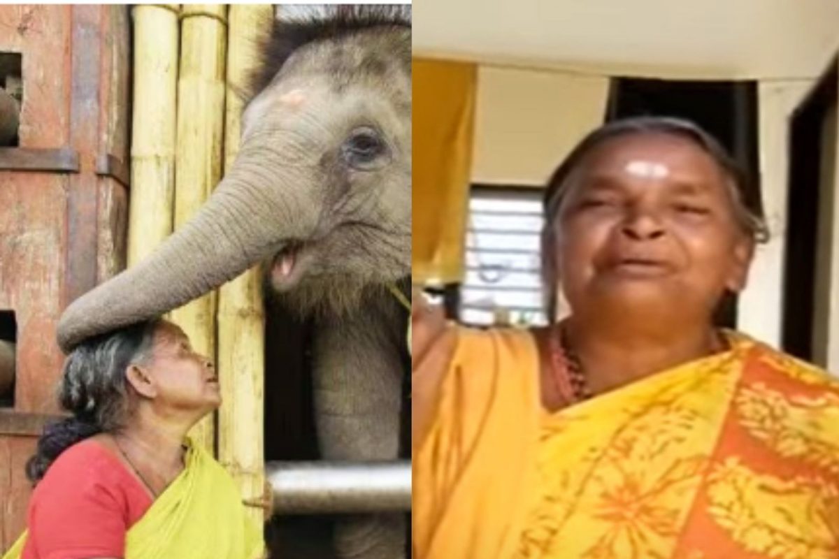 பெள்ளி