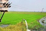 துரிதமின் இணைப்பு வழங்கும் திட்டம்: ரூ.3.6 லட்சம் மானியம்