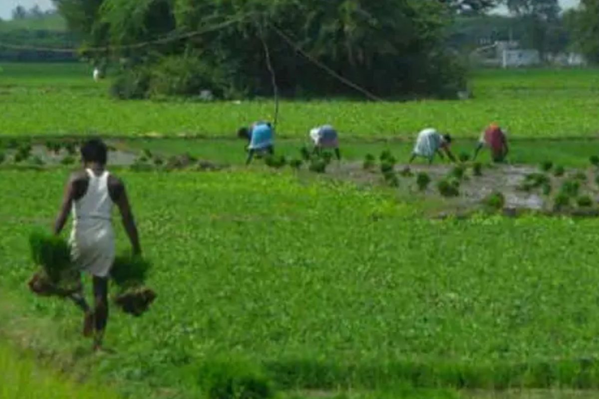 மாதிரி படம்