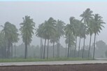 ஆரணியில் பெய்த ஆலங்கட்டி மழை- ஆச்சர்யத்துடன் பார்த்த மக்கள்