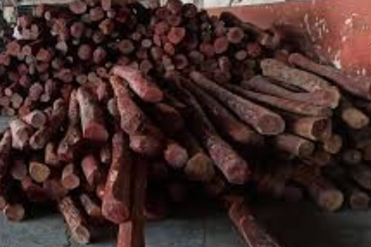 காட்சிப் படம்