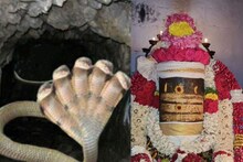 தேனியில் 5 தலை நாகம் பாதுகாத்து வரும் சிவன் கோயில்.. எங்கு இருக்கு தெரியுமா?