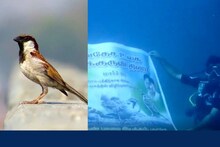 உலக சிட்டுக்குருவிகள் தினம்.. ஆழ்கடலில் விழிப்புணர்வு பேனர்..