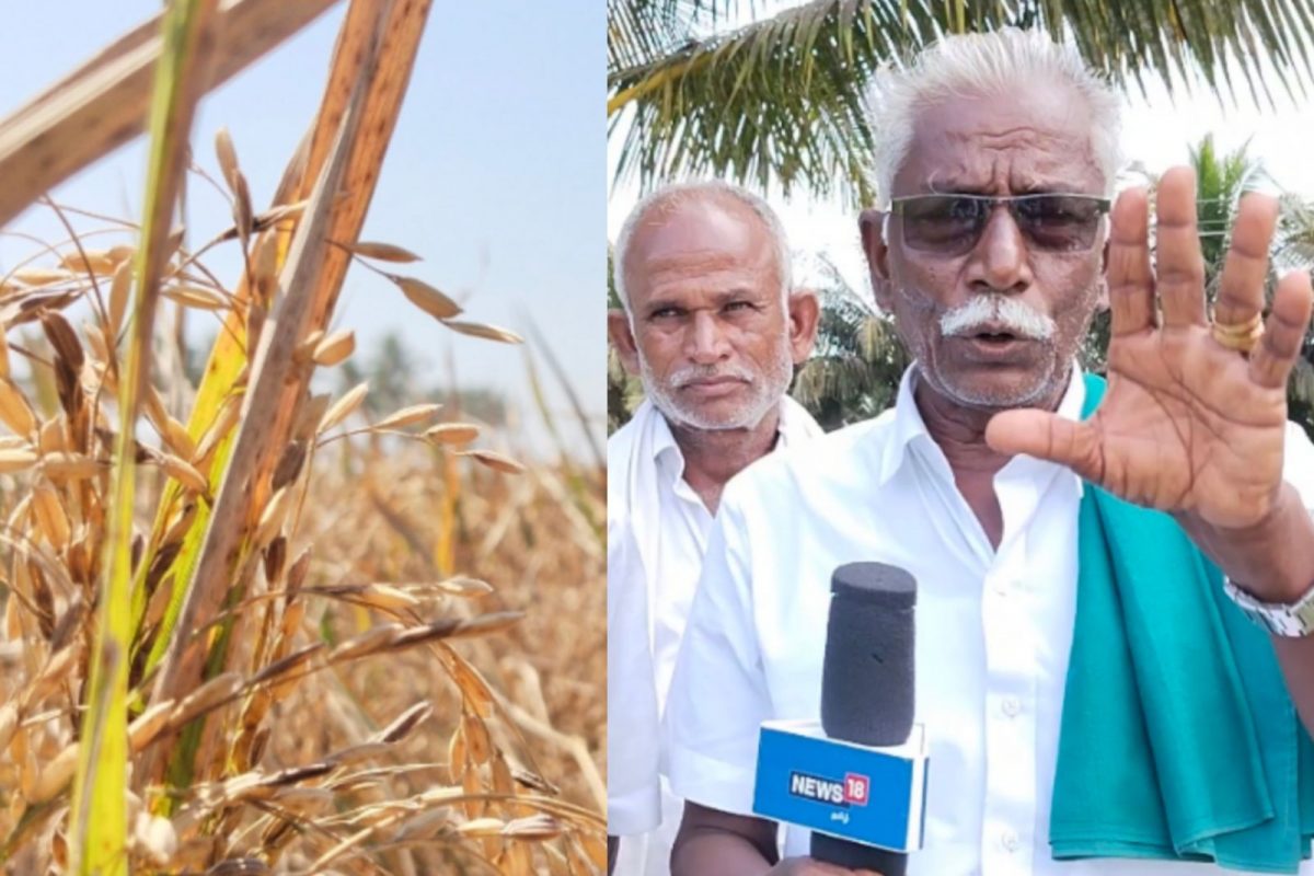 தஞ்சை