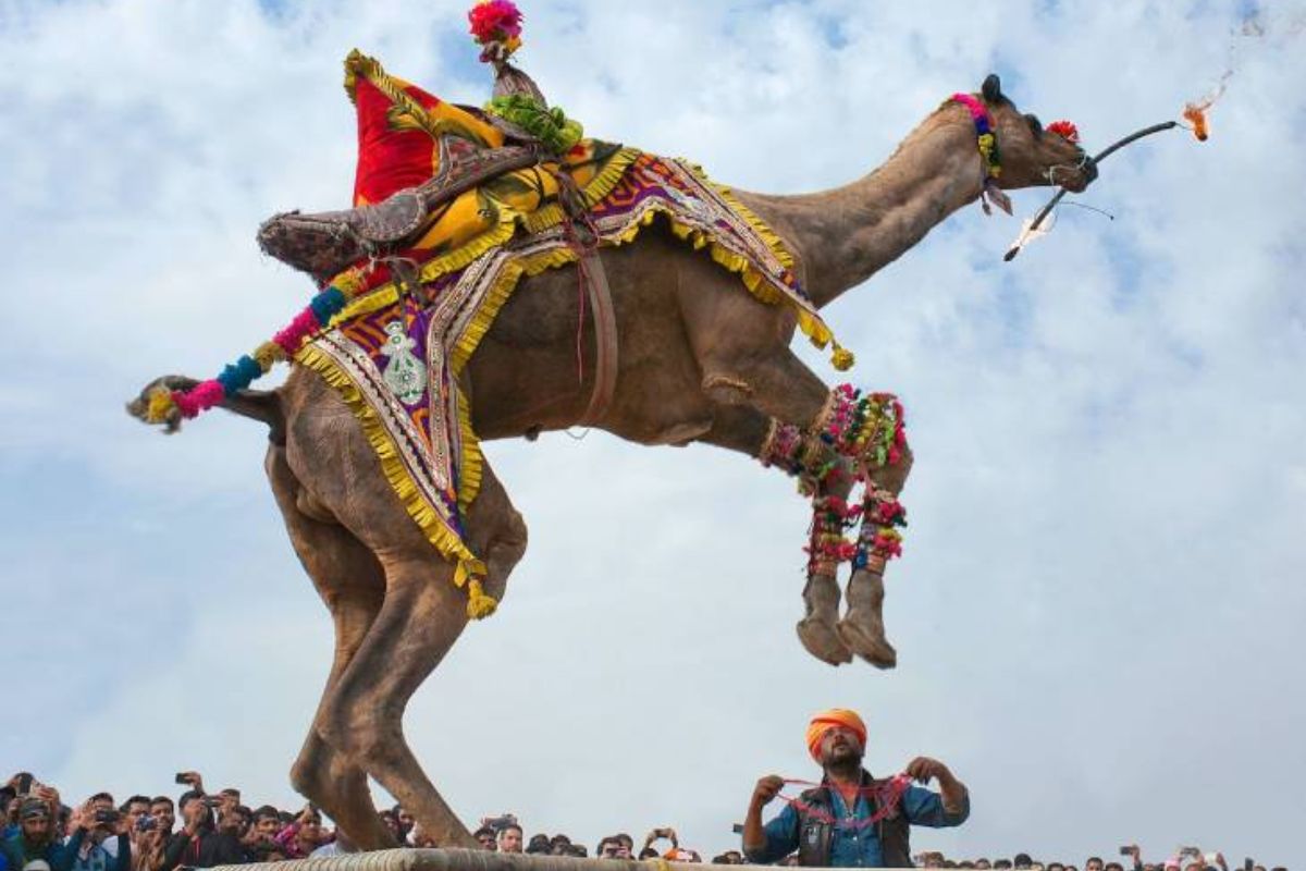  தொடர்ந்து தாத்தா-பேரன் பந்தயம், தார் சுந்தரி, தார் ஸ்ரீ, கணவன்-மனைவி பந்தயம், கயிறு இழுத்தல், சஃபா டேம் போன்ற பல்வேறு நிகழ்ச்சிகள் நடத்தப்பட்டன.