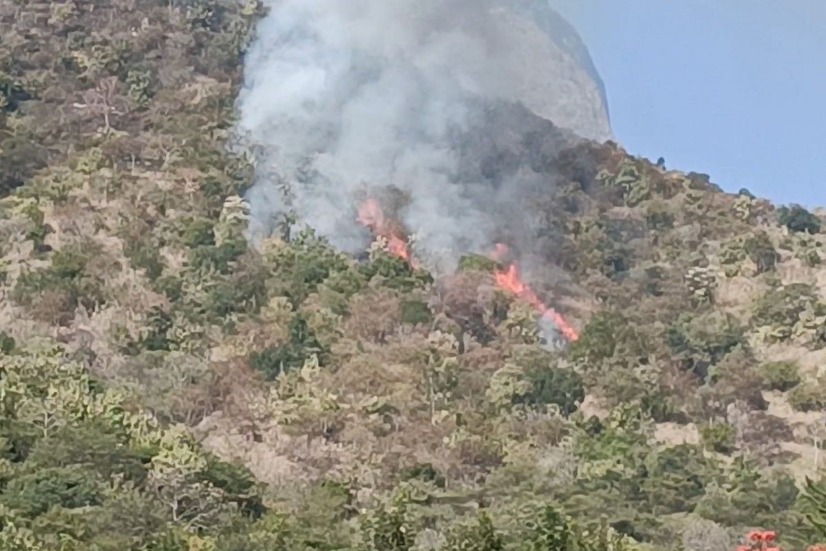 குரங்கணி