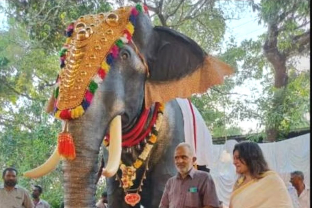 ரோபோ யானை 