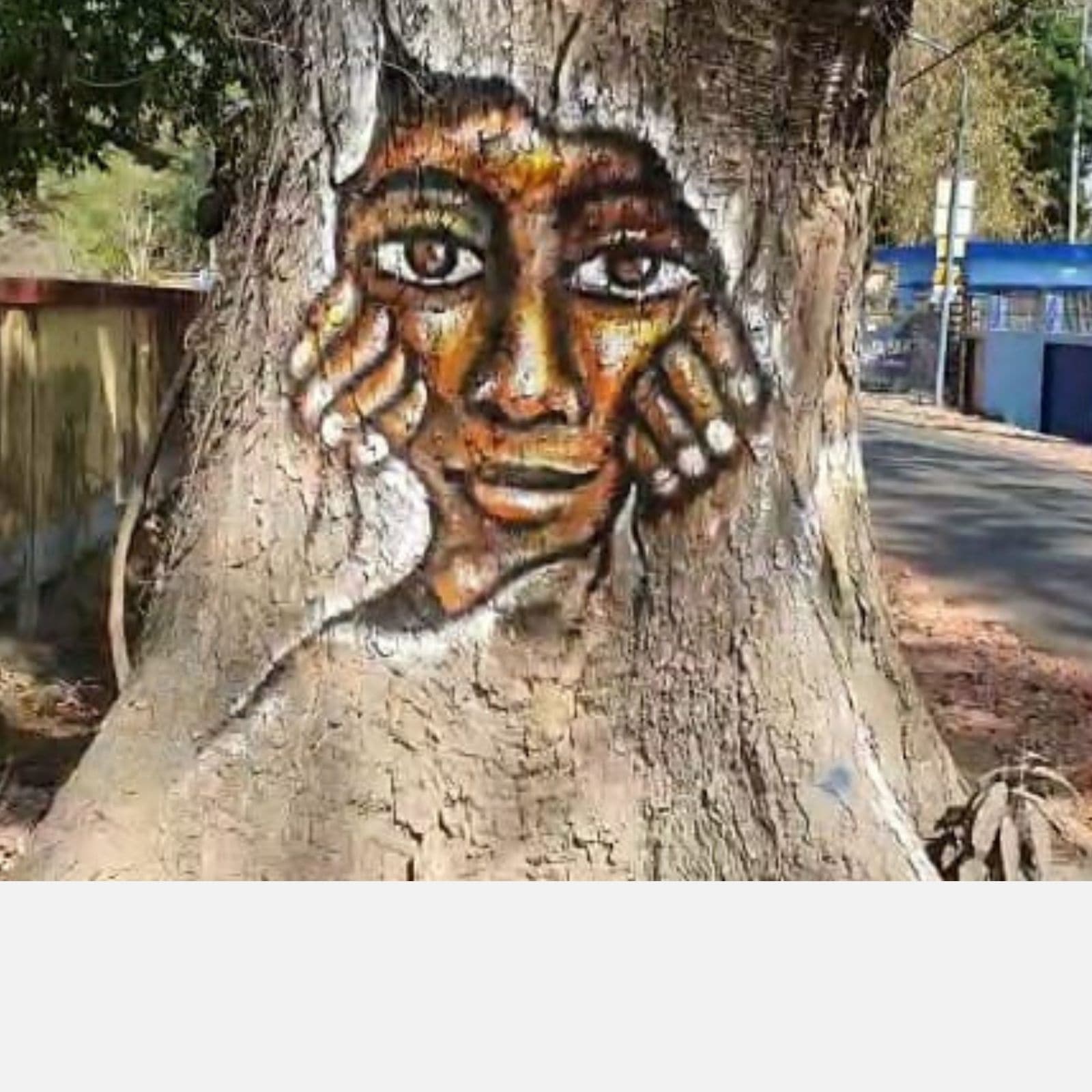 painting on trees 