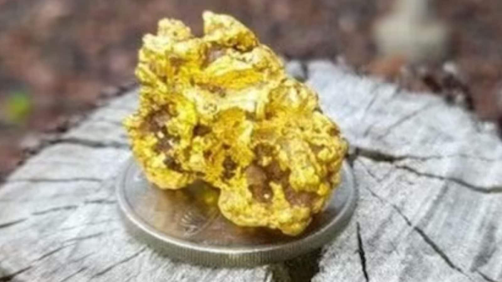 2-5-kg-of-gold-found-in-the-stone-a-person-who-became-a-millionaire