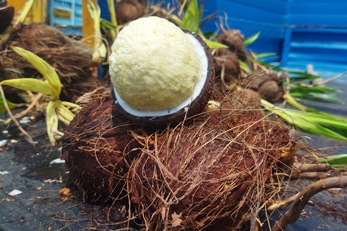 தேங்காய்