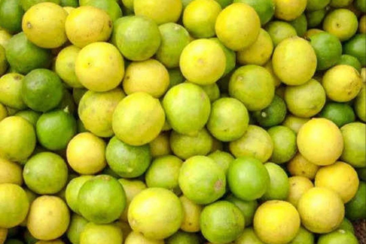 கோடை