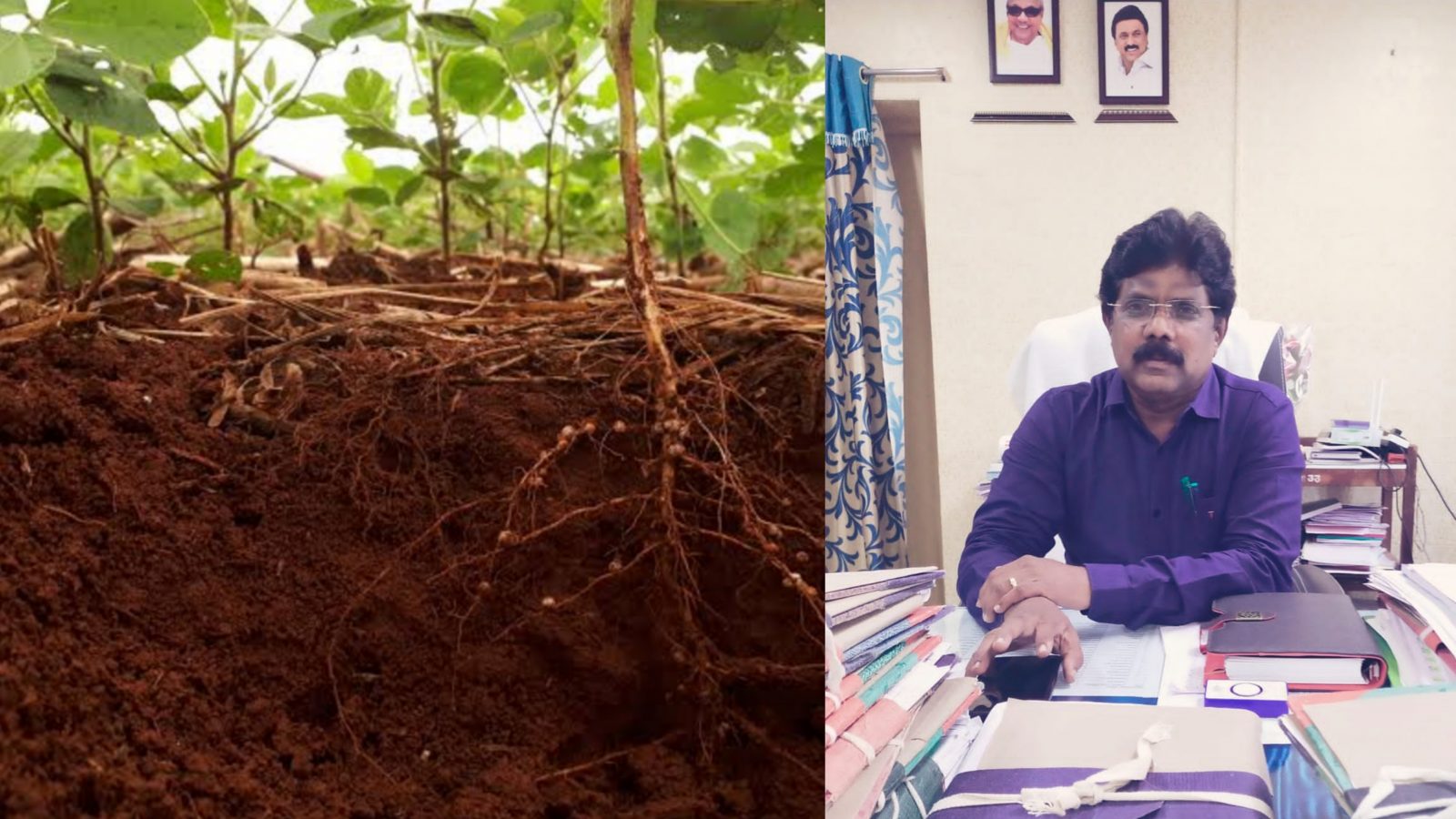 மண் வளத்தை காக்க என்னென்ன செய்ய வேண்டும்.. வேளாண் துறை அதிகாரி அறிவுரை!