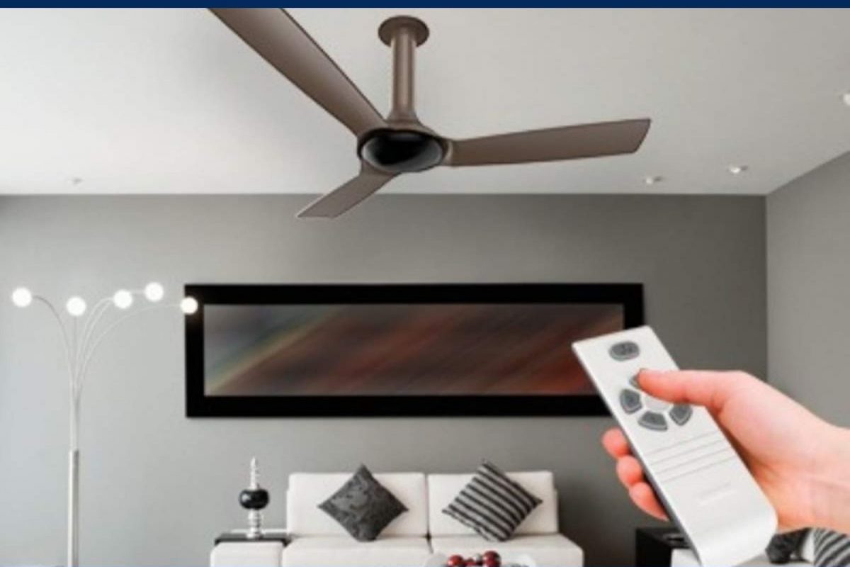 fan