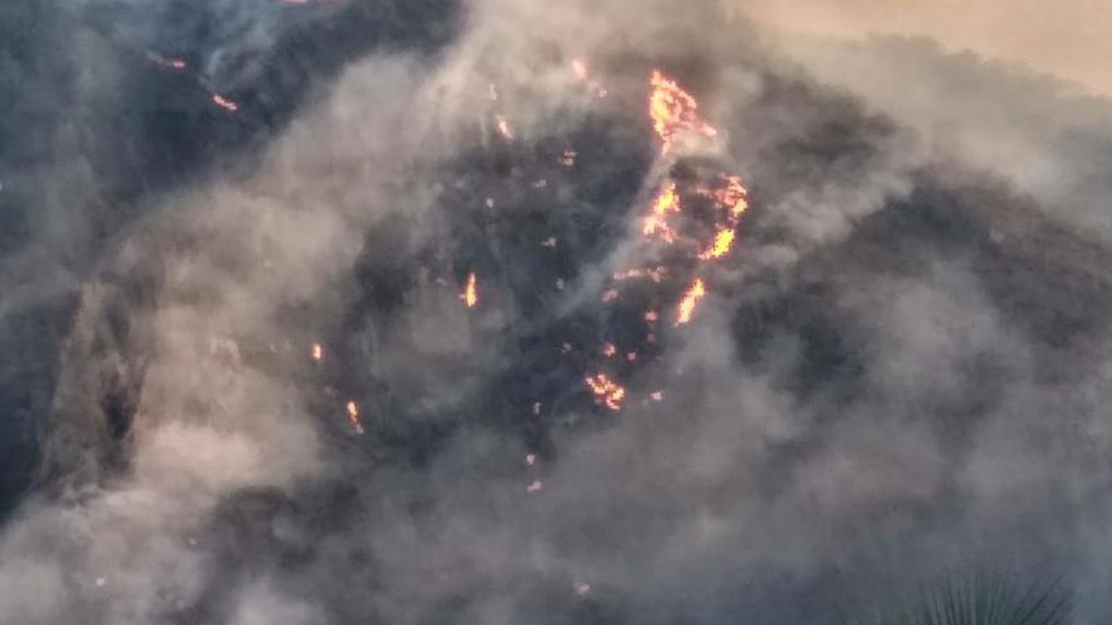 மேற்கு தொடர்ச்சி மலையில் ஒரு வாரமாக பற்றி எரியும் காட்டுத்தீ... ஹெலிகாப்டர் மூலம் தீயை அணைக்கும் பணி தீவிரம்!