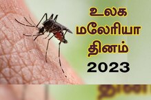 மலேரியா தொற்றுகளைத் தவிர்க்க என்ன செய்யலாம்?