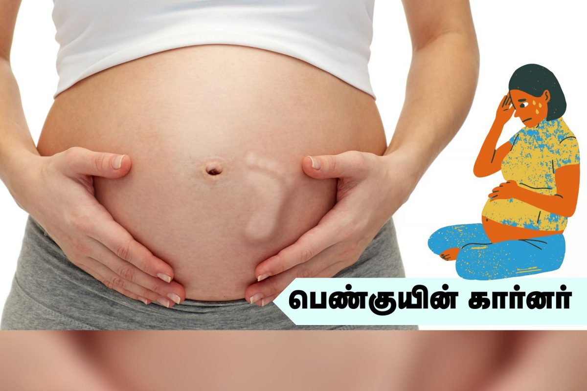 பெண்குயின் கார்னர்