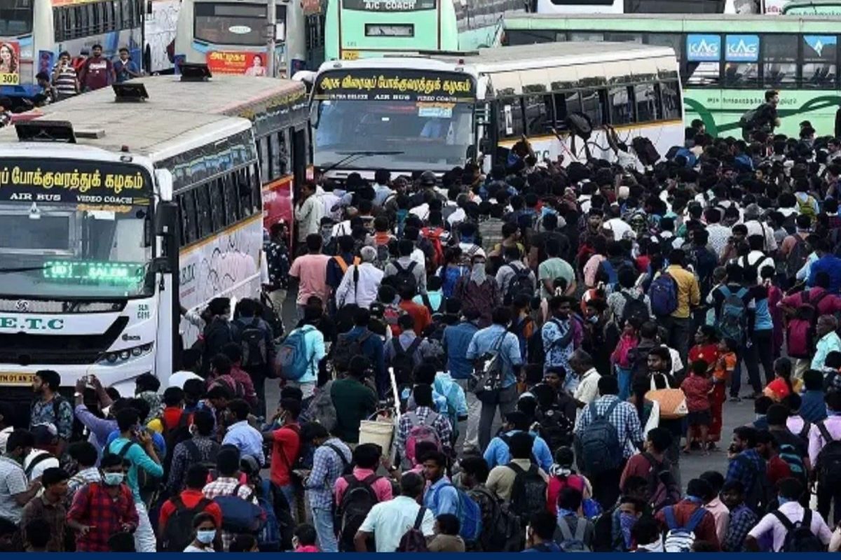 சிறப்பு பேருந்து