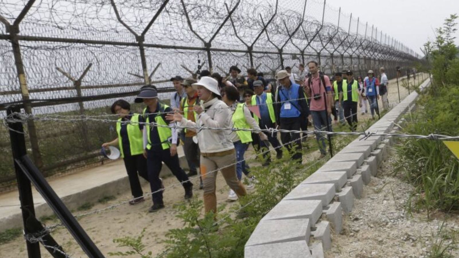 கொரிய எல்லைகளில் தொடங்க இருக்கும் அமைதி நடைபாதை சுற்றுலா.. தவற விடக்கூடாத அரிய நிகழ்வு..!