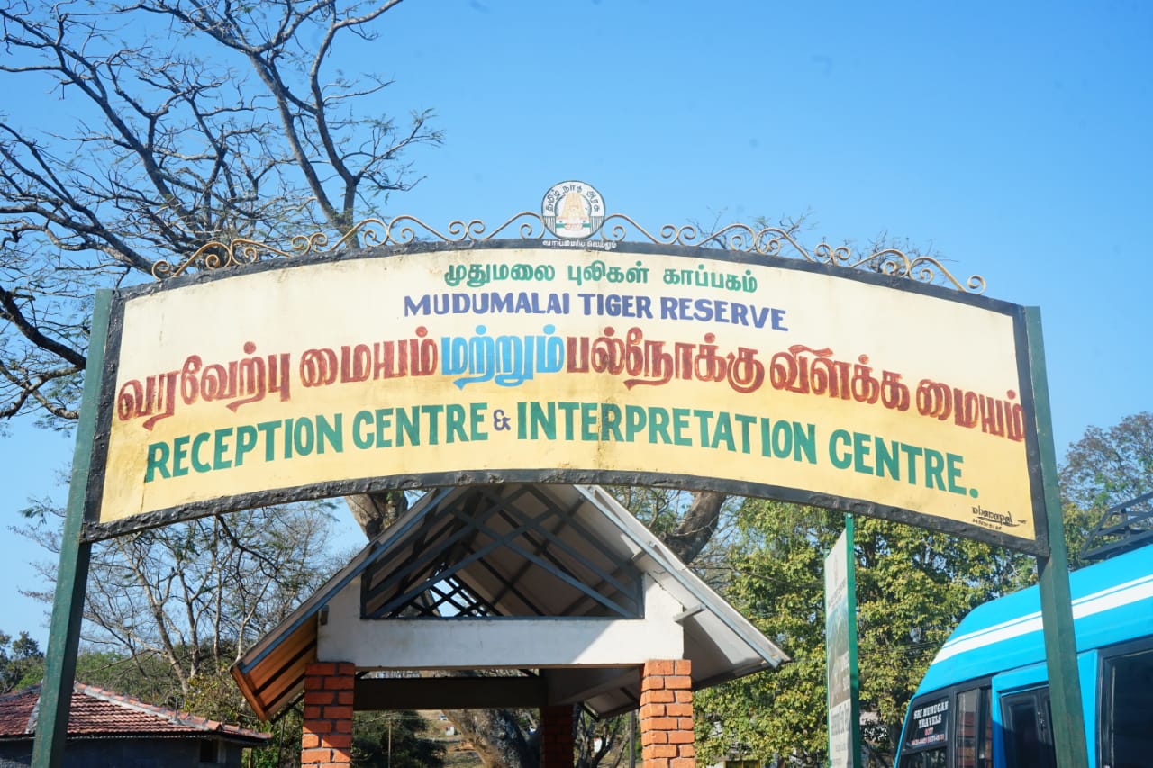  மாவட்டத்தில் புகழ்பெற்ற சுற்றுலா தலமாக விளங்கும் முதுமலை புலிகள் காப்பகம் ஆனது யுனெஸ்கோ அமைப்பு மூலம் உலக பாரம்பரிய சின்னங்களுள் ஒன்றாக அறிவிக்கப்பட்டுள்ளது. 