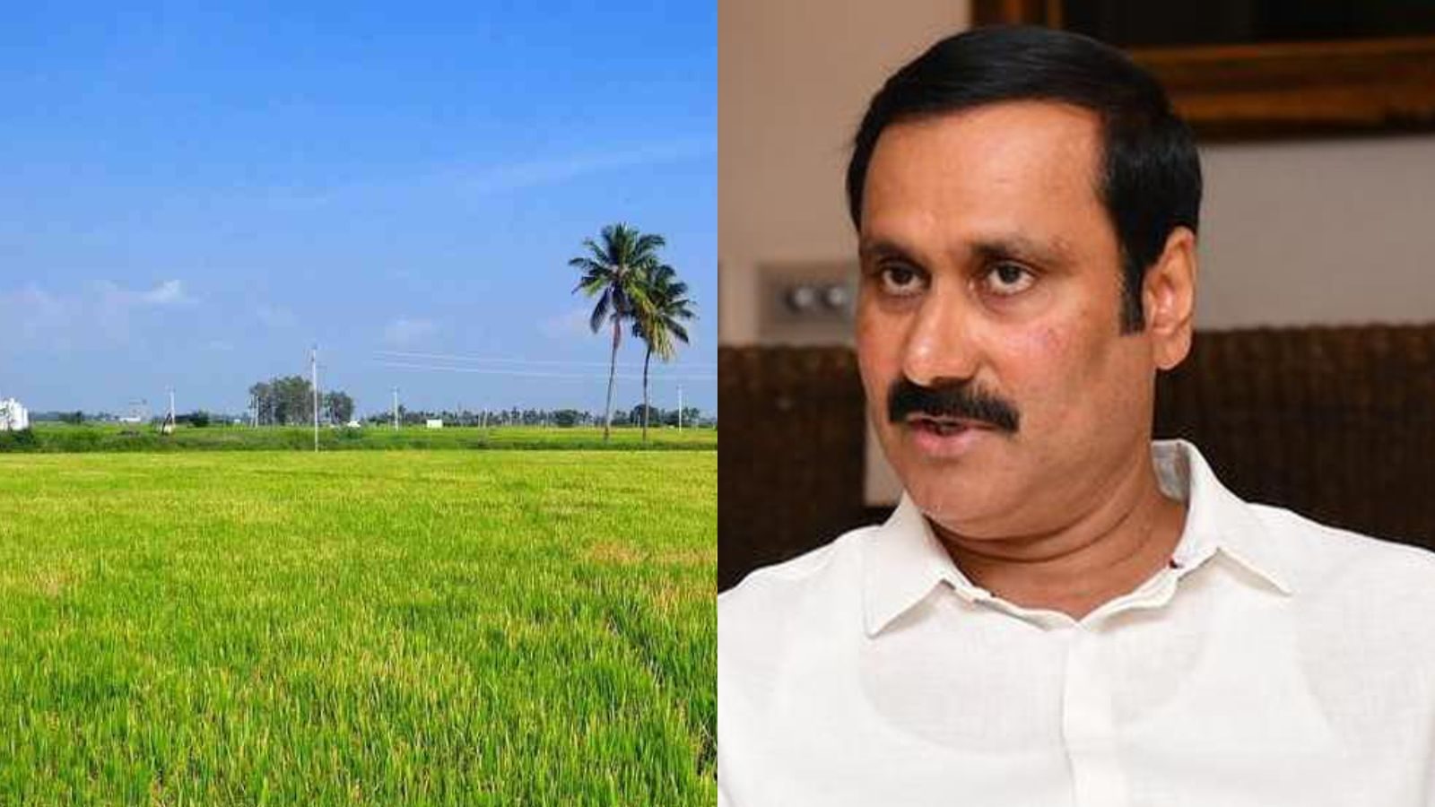 காவிரி டெல்டாவில் நிலக்கரி சுரங்கங்களை அனுமதிக்க மாட்டோம் -அன்புமணி ராமதாஸ்