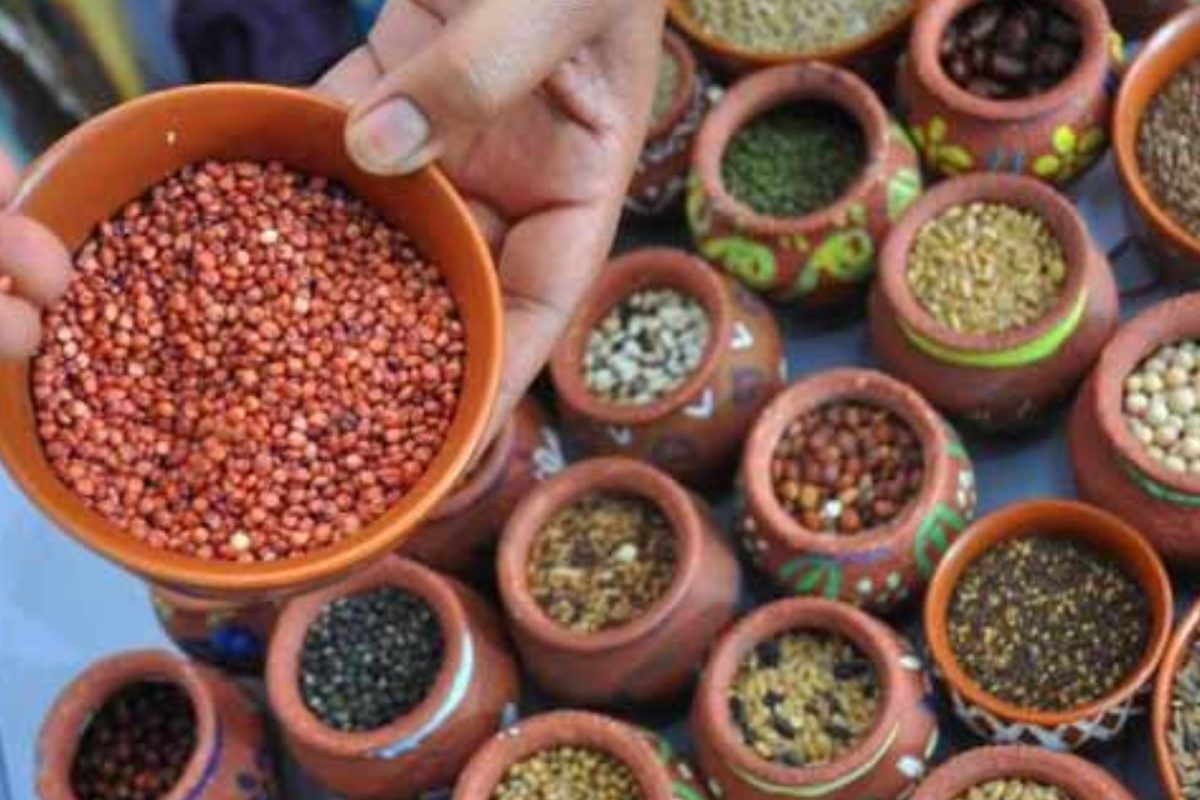மாதிரி படம்
