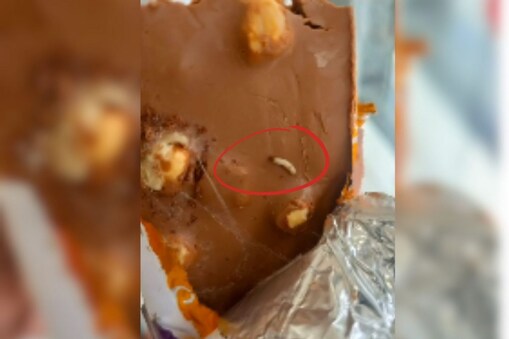 சாக்லேட்டில் புழு