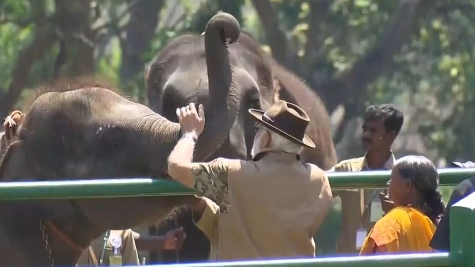 பொம்மன்- பெள்ளி தம்பதியுடன் சந்திப்பு- யானைக்குட்டியை தடவிப் பார்த்து மகிழ்ந்த பிரதமர் மோடி