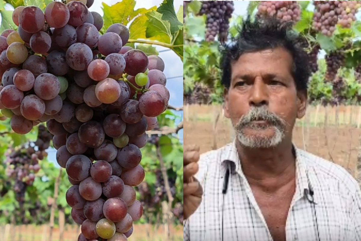 திண்டுக்கல்