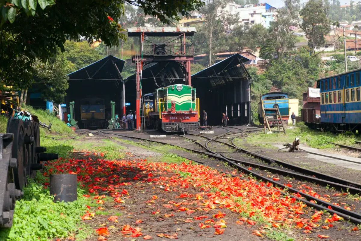  அடுத்த ரயில் டெல்லிக்கும் கோட்வாரா நகருக்கும் இடையே இயக்கப்படும் கர்வால் எக்ஸ்பிரஸ் (Garhwal Express). இந்த ரயிலில் ஹரித்வார் மற்றும் கோட்வார் இடையே பயணம் செய்யும் போது, ​​இமயமலையின் ஷிவாலிக் மலைத்தொடரின் ரம்யமான காட்சிகள் உங்களை வேறொரு உலகத்திற்கு அழைத்துச் செல்லும்.