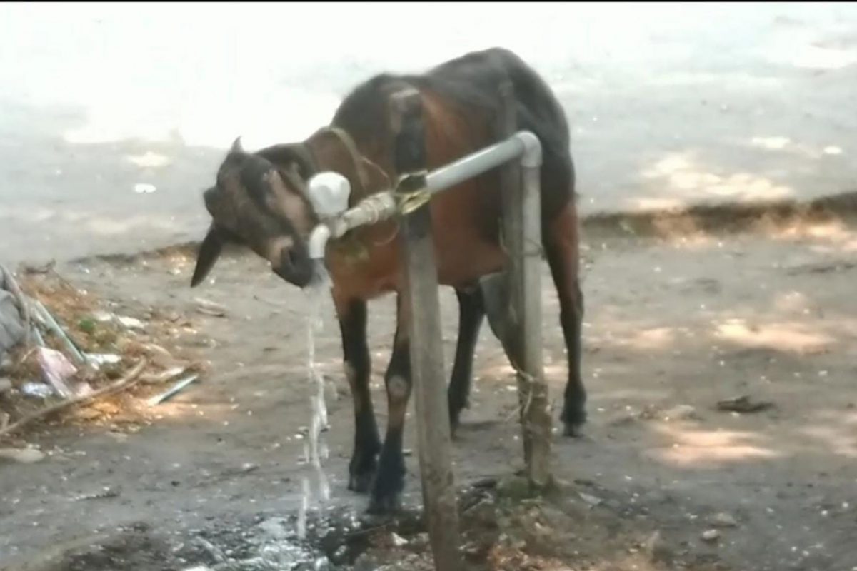 தாகம்