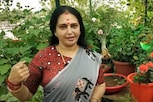 சீதா வீட்டு தோட்டத்துல என்னெல்லாம் இருக்குன்னு பாருங்க..!
