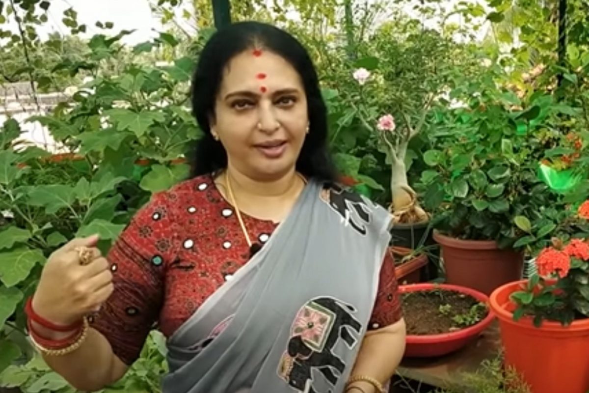 சீதா வீட்டு தோட்டத்துல என்னெல்லாம் இருக்குன்னு பாருங்க..!