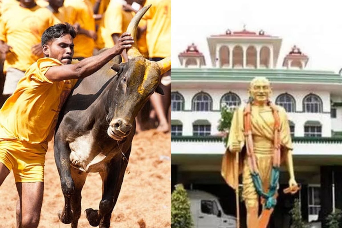 ஜல்லிக்கட்டு நடத்தத் தடை.. எச்சரிக்கை கொடுத்த நீதிமன்றம்..!