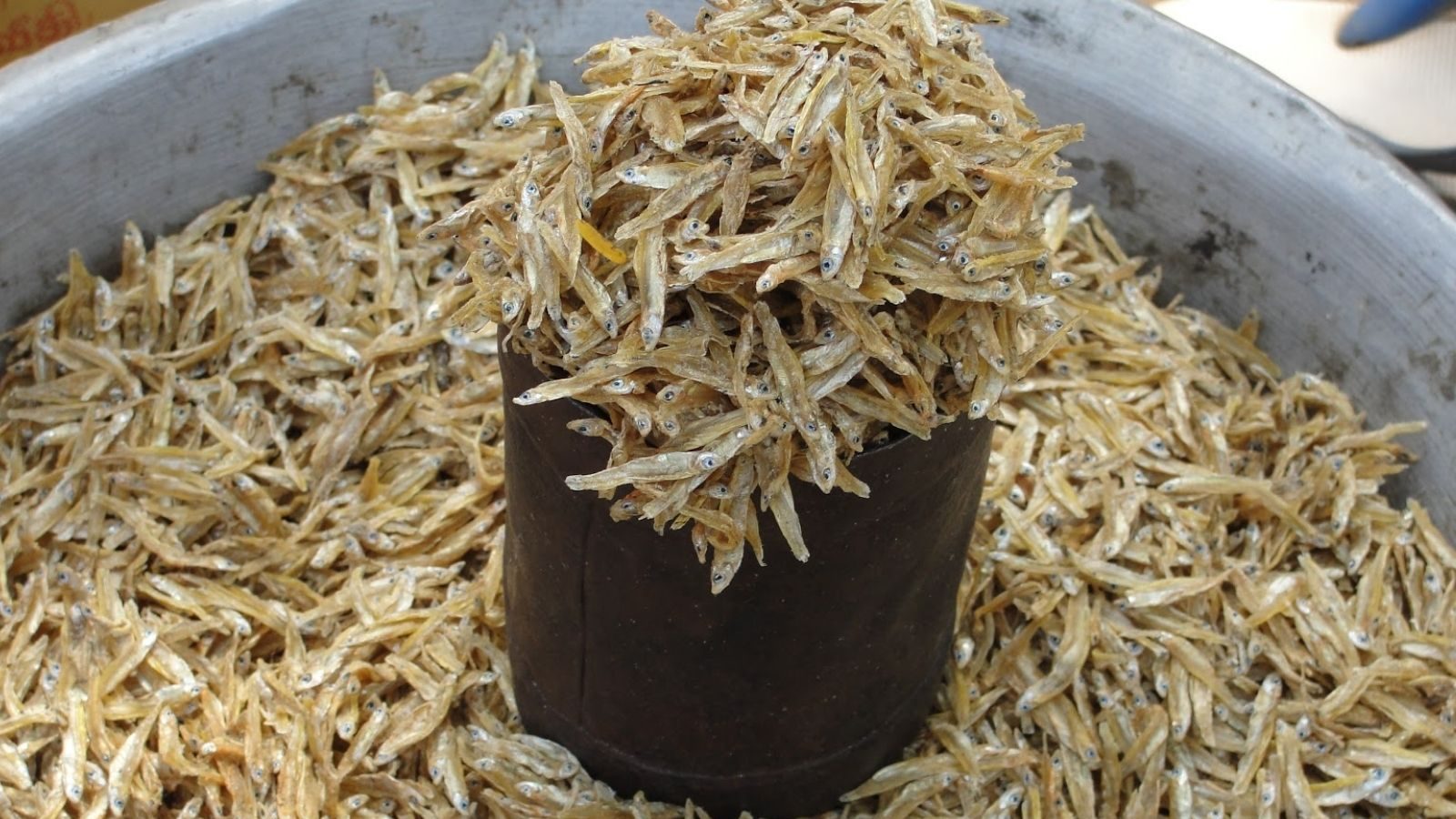 கமகமக்கும் கருவாடு.. இத்தனை நன்மைகளா? தெரிஞ்சா அசந்திடுவீங்க!